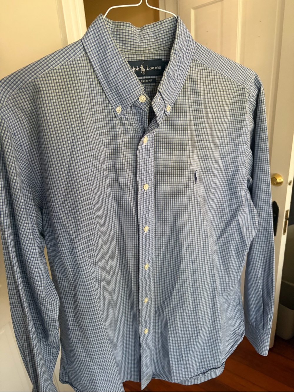 Ralph Lauren Light Blue Micro-Gingham Button-Down Shirt